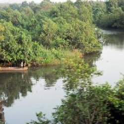 Tourist Attractions in Goa