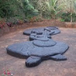 Goa Sightseeing Bigfoot